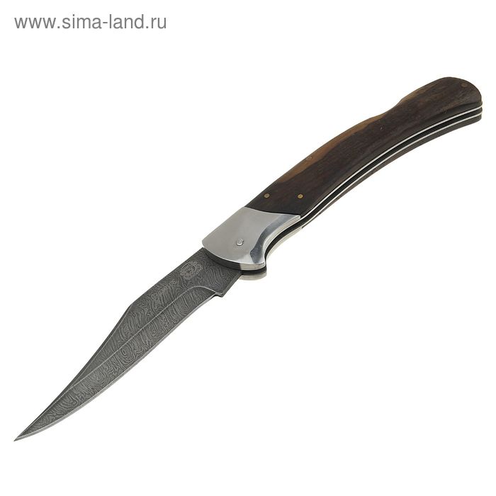 Нож складной "Лорд", дамасская сталь - Фото 1