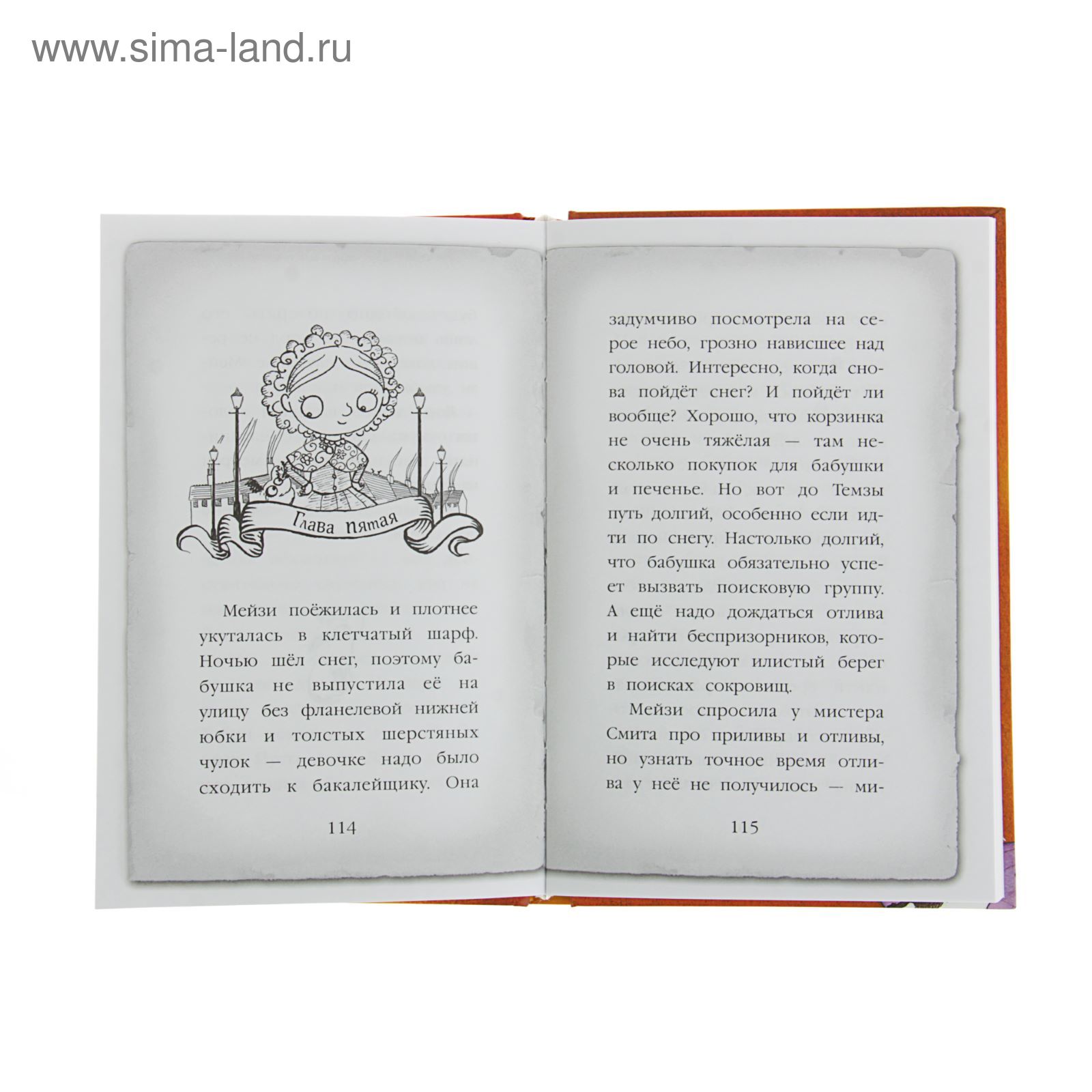 Холли вебб дневник девочки детектива. Мэйзи хитчинс холли вебб. Книга про девочку детектива. Софи клеверли скарлет и айви дневник пропавшей сестры. Книга кики страйк.