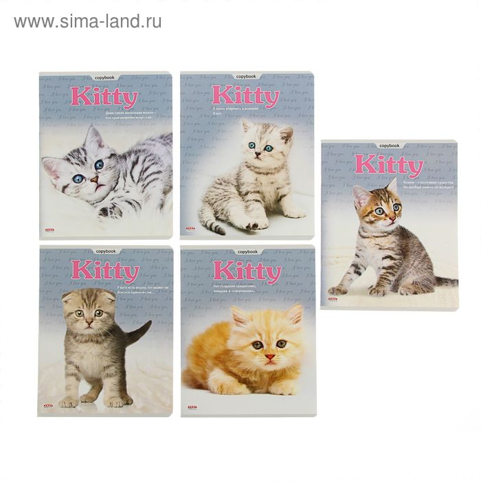 Тетрадь 48 листов клетка "Изящные котята", картонная обложка, 5 видов МИКС - Фото 1