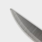 Нож кухонный Доляна «Триколор», лезвие 12,5 см - фото 4561514