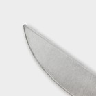 Нож кухонный Доляна «Триколор», лезвие 14,5 см - фото 4561519