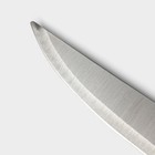 Нож кухонный Доляна «Триколор», лезвие 18 см - фото 4561524