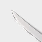 Нож кухонный Доляна «Страйп», зубчатое лезвие 11,5 см - Фото 3