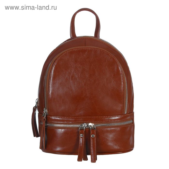Рюкзак молодёжный на молнии, 1 отдел, 2 наружных кармана, коричневый - Фото 1