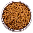 Сухой корм Gemon Cat для взрослых кошек, с курицей и индейкой, 1,5 кг - Фото 5