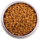 Сухой корм Gemon Cat для взрослых кошек, с курицей и индейкой, 400 г - Фото 4