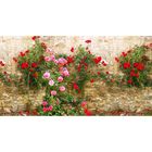 Фотосетка, 300 × 158 см, с фотопечатью, люверсы шаг 1 м, «Камень и дикие розы» - Фото 1