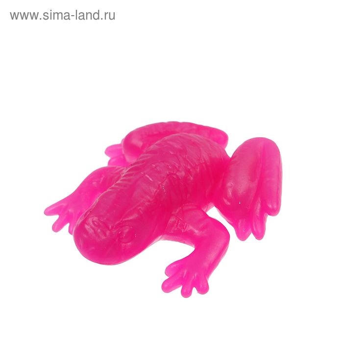 Липучка «Лягушка», цвета МИКС - Фото 1