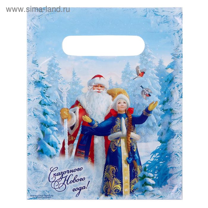 Пакет подарочный полиэтиленовый «Сказочного нового года», дед мороз и снегурочка, 17 × 20 см - Фото 1