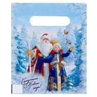 Пакет подарочный полиэтиленовый «Сказочного нового года», дед мороз и снегурочка, 17 × 20 см - Фото 2
