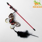 Дразнилка "Бабочка" с перьями, микс цветов - Фото 1
