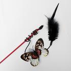 Дразнилка "Бабочка" с перьями, микс цветов - Фото 2