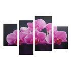 Картина модульная на подрамнике "Розовые орхидеи"  2-30х45; 1-29,5х69; 1-34х69 - Фото 1