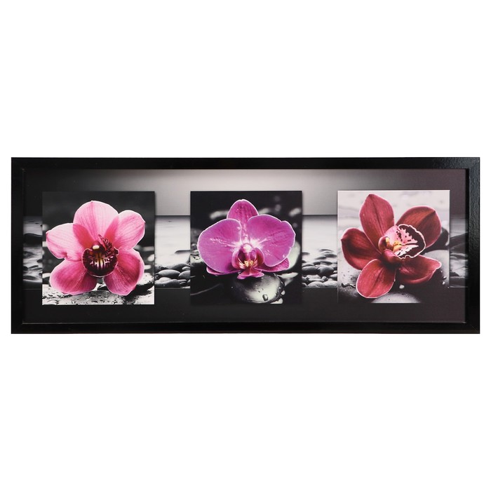Картина "Тёмно-розовые орхидеи" 42х107 см рамка микс - Фото 1