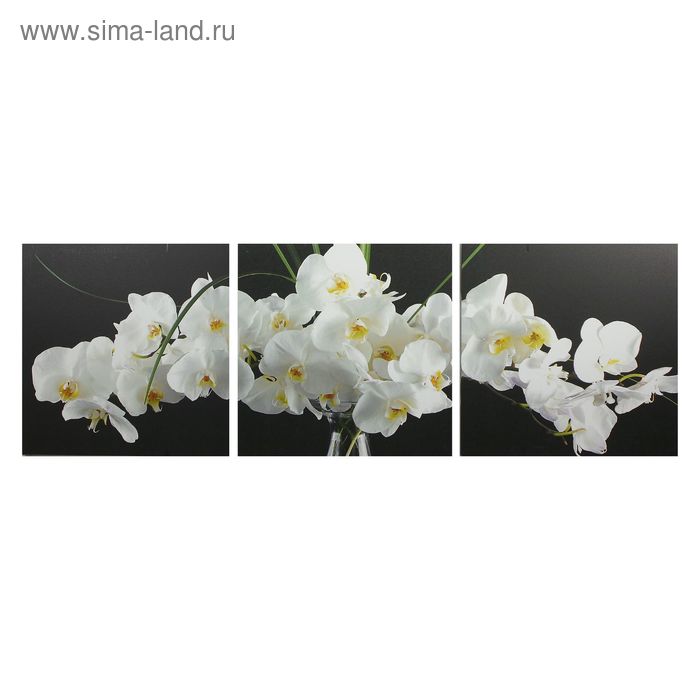 Картина модульная на подрамнике "Белое соцветие" 3 шт. 50х50 см;  50х150 см - Фото 1