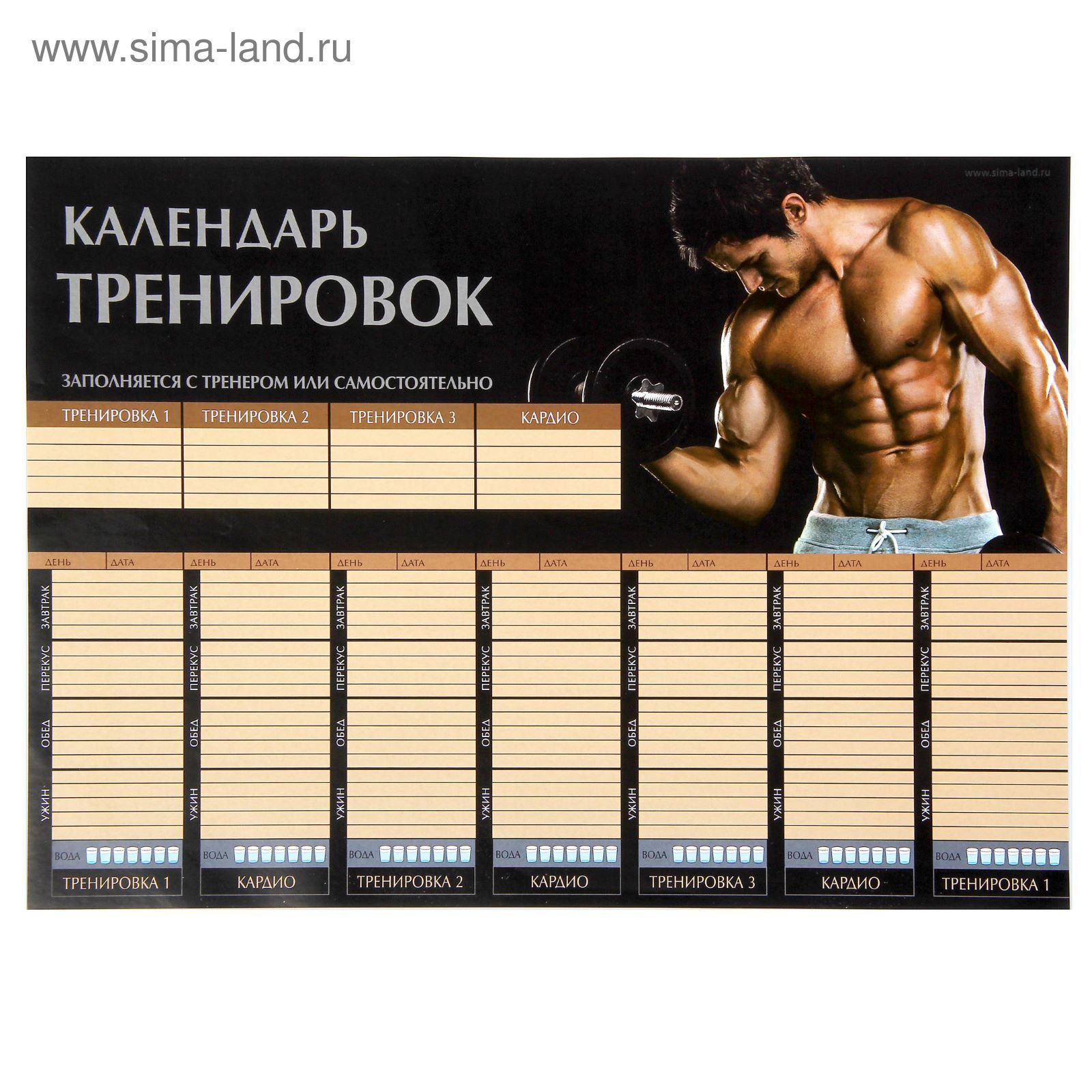 Таблица отжиманий 30 дней для мужчин