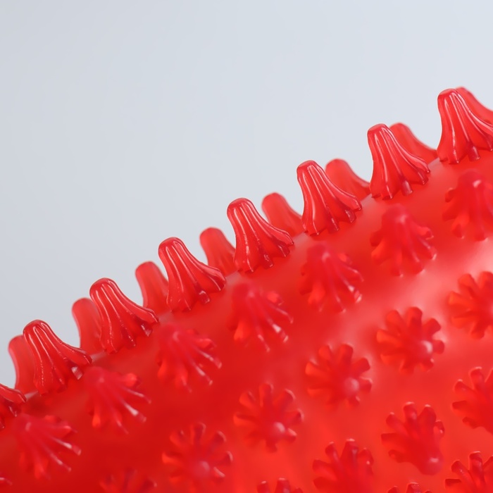 Массажёр антицеллюлитный «Яблоко», с подвесом, цвет МИКС 14619