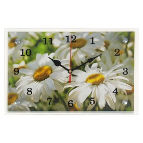 Часы-картина настенные, серия: Цветы, "Ромашки", 20х30 см