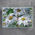 Часы-картина настенные, серия: Цветы, "Ромашки", 20х30 см - фото 4225766