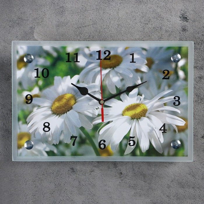 Часы-картина настенные, серия: Цветы, &quot;Ромашки&quot;, 20х30 см