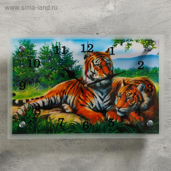 Часы-картина настенные, серия: Животный мир, "Тигры", 20х30  см, микс - Фото 1