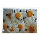 Часы-картина настенные, серия: Цветы, "Ромашки", 25 х 35 см - фото 8493392