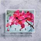Часы-картина настенные, серия: Цветы, "Розовая орхидея", 20 х 25 см - фото 8493442