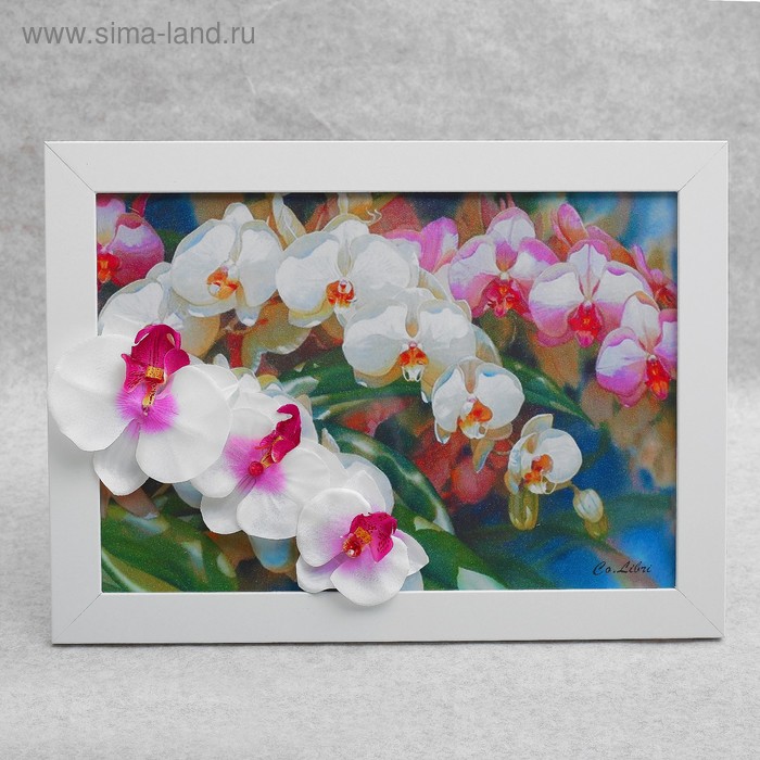 Картина гербарий "Ветки орхидей" 34*25 см - Фото 1