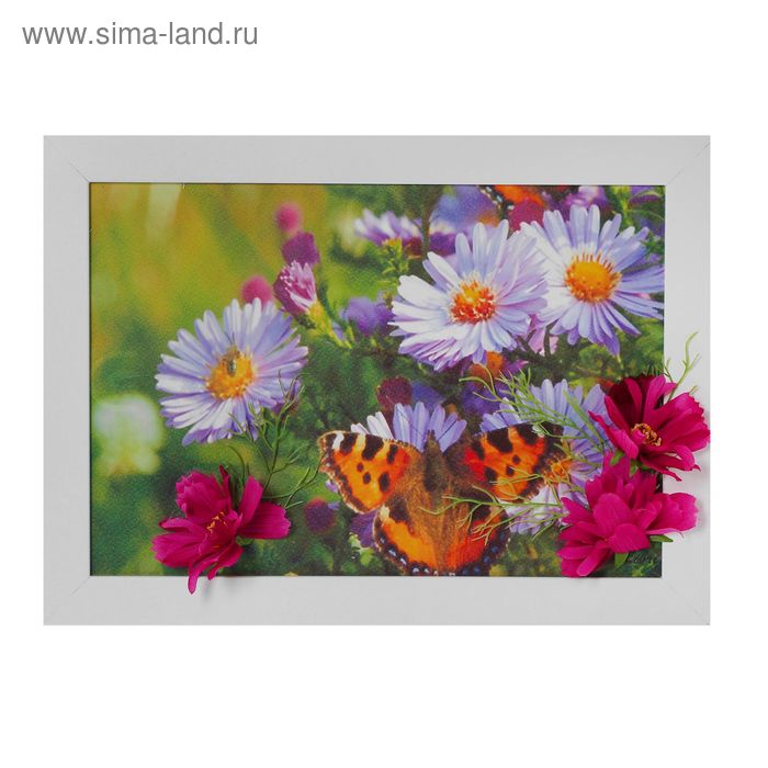 Картина гербарий "Цветы с бабочкой" 34*25 см - Фото 1