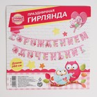 Гирлянда «С рождением доченьки!» - Фото 4