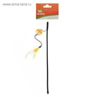 Дразнилка, с шариком-погремушкой и перьями, цвет МИКС - фото 68068601