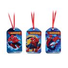 Набор для проведения праздника "С Днем Рождения!" Человек-паук - Фото 8