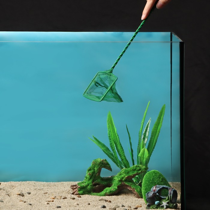 Сачок аквариумный 7,5 см, зелёный - Фото 1