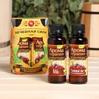 Набор «Лечебная сила»: 2 ароматизатора 100 мл - Фото 1