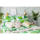 Постельное бельё дуэт «Этель. Монстера», поплин - Фото 8