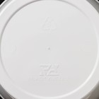 Кашпо для цветов «Грация», 2 л, d=15 см, h=14.5 см, пластиковое, со вставкой, белое - Фото 4