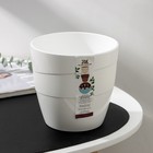 Кашпо для цветов «Грация», 2 л, d=15 см, h=14.5 см, пластиковое, со вставкой, белое - Фото 5