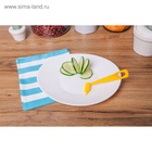 Овощерезка спиралью Доляна «Буратино», 10.5 см, МИКС - Фото 10