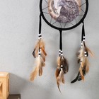 Ловец снов амулет «Орёл», 20×20 см - Фото 3