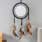 Ловец снов амулет «Орёл», 20×20 см - Фото 4