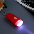 Фонарик свет на кольце "Рассвет" МИКС 8х3,2х2 см - Фото 2