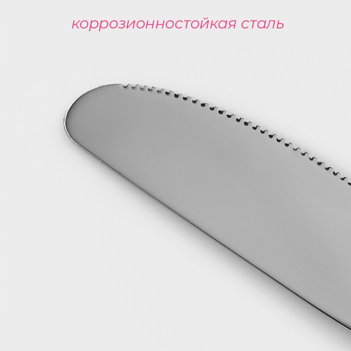 Нож столовый из нержавеющей стали Доляна «Соня», длина 20,5 см, толщина 2 мм, цвет серебряный - фото 1908284755