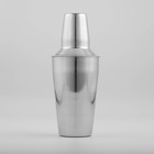 Шейкер Доляна, 500 мл - Фото 2