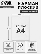 Карман плоский А4, 22.5×0.2×31 см, без скотча для крепления, с вырубкой, оргстекло 1 мм, В ЗАЩИТНОЙ ПЛЁНКЕ - Фото 1