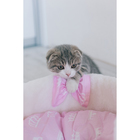 Лежанка для котят и щенков, 35 х 14 см, розовая, микс рисунков - Фото 8