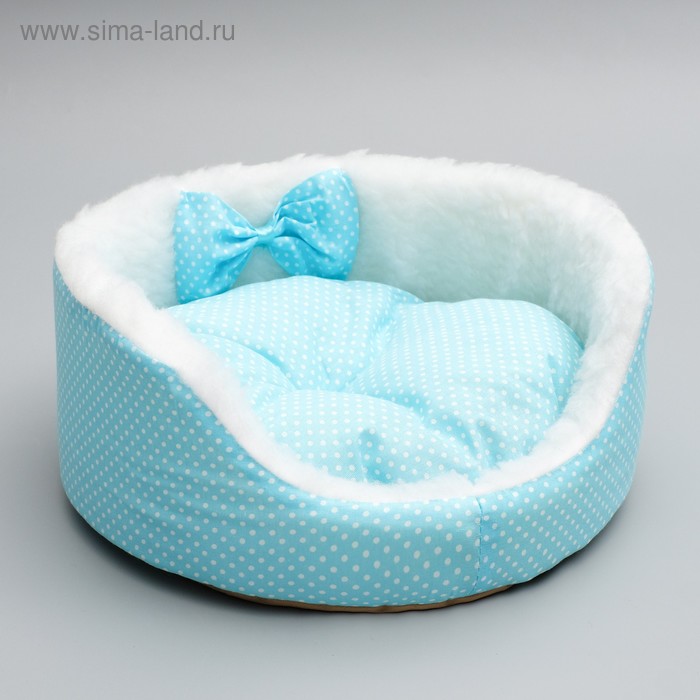 Лежанка для котят и щенков, 35 х 14 см, голубая, микс рисунка - Фото 1