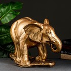Копилка "Слон большой" бронза, 52х25х33см - фото 9721869