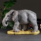 Копилка "Слон большой" цветной, 52х25х33см - фото 9833596