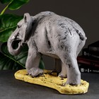 Копилка "Слон большой" цветной, 52х25х33см - фото 9833597