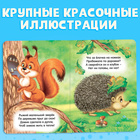 Книга картонная «Пушистые загадки», 10 стр. - Фото 4